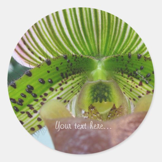 Striped Green Slipper Orchid Envelope Seal Ronde Sticker (Voorkant)