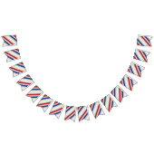 Striped Independence Day Banner Bunting (Alle)