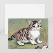  Striped Kitten Illustratie Briefkaart (Voorkant / Achterkant)