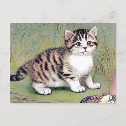  Striped Kitten Illustratie Briefkaart (Voorkant)