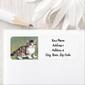 Striped Kitten Illustratie Etiket (Insitu)