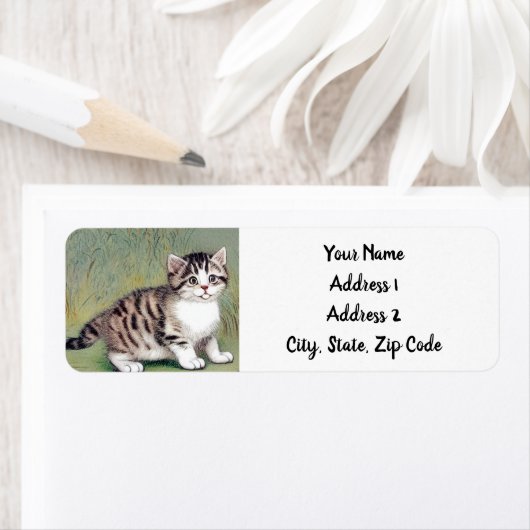 Striped Kitten Illustratie Etiket (Insitu)