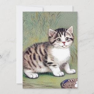  Striped Kitten Illustratie Kaart