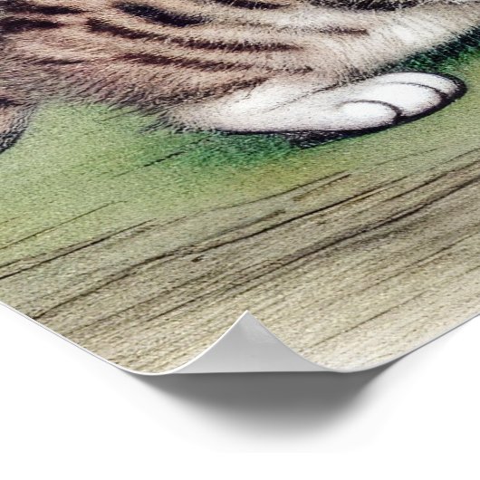  Striped Kitten Illustratie Poster (Hoek)