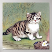  Striped Kitten Illustratie Poster (Voorkant)