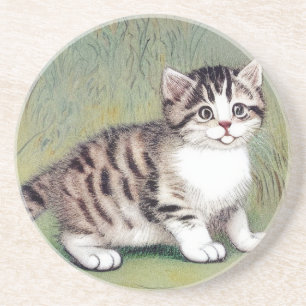 Striped Kitten Illustratie Zandsteen Onderzetter