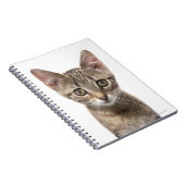 Striped Kitten Notitieboek (Rechterzijde)