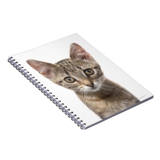 Striped Kitten Notitieboek (Rechterzijde)