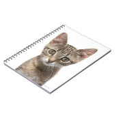 Striped Kitten Notitieboek (Linkerzijde)