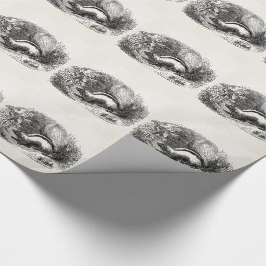  Striped Skunk 1800s Skunks Illustration Cadeaupapier (Hoek)