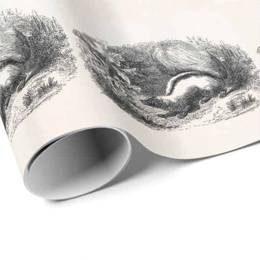  Striped Skunk 1800s Skunks Illustration Cadeaupapier (Rol Hoek)