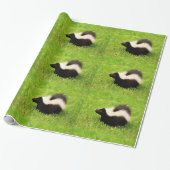Striped Skunk Cadeaupapier (Uitgerold)