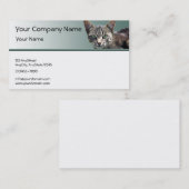 Striped Tabby met groene ogen op groene gradiënt Visitekaartje (Voorkant / Achterkant)