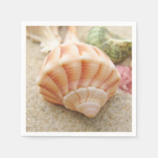 Striped Zee Shell Lightning Welk Servet (Voorkant)