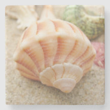 Striped Zee Shell Lightning Welk