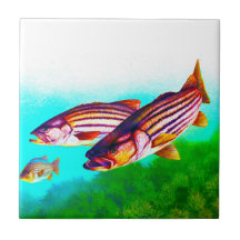 Striper van de stripper