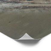 Striper Xpert Surf Slapper Antiek Vist Lure de Poster (Hoek)