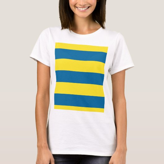 Stripes | Blauw & Geel |  T-shirt (Voorkant)