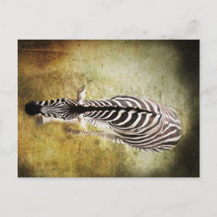 Stripes Briefkaart