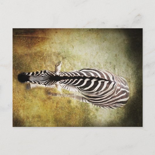 Stripes Briefkaart (Voorkant)