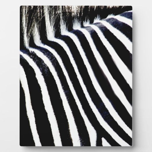 Stripes en I_ Fotoplaat (Voorkant)