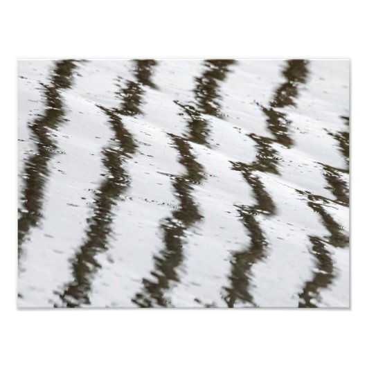 Stripes en Splashes foto's afdrukken Foto Afdruk (Voorkant)