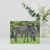 Stripes go with Everything. Briefkaart (Staand voorkant)