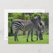 Stripes go with Everything. Briefkaart (Voorkant / Achterkant)