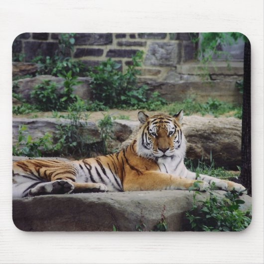 Stripes Muismat (Voorkant)