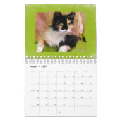 Stripes Stippen en sponge Paint Mini Calendar Kalender (Mar 2027)