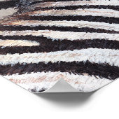 Stripes Zebra, Baby en poster van mama, alle groot (Hoek)