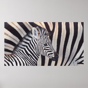 Stripes Zebra, Baby en poster van mama, alle groot