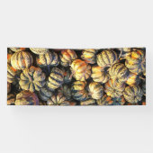 Stripey Pumpkins Cluster  Spandoek (Horizontaal)