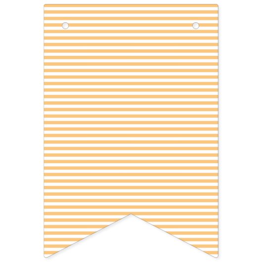 Stripey swallowtail shaped bunting banner (Eerste vlag)