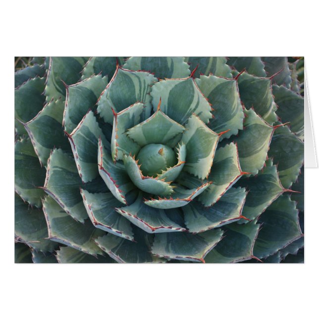 stripkaart (Voorkant Horizontaal)