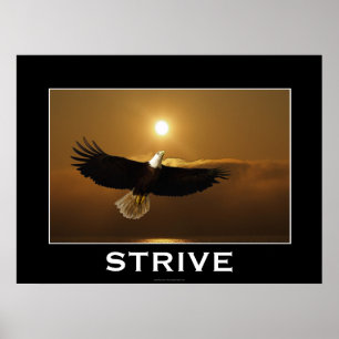 STRIVE ~ Flying Bald Eagle Motivatie Poster