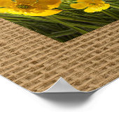 Stro Pet in Poster voor weide fotografie (Hoek)