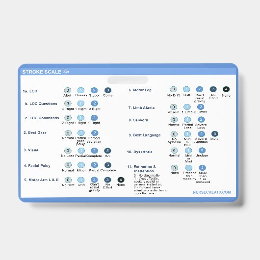 Stroke Scale Badge-begeleider Badge (Voorzijde)