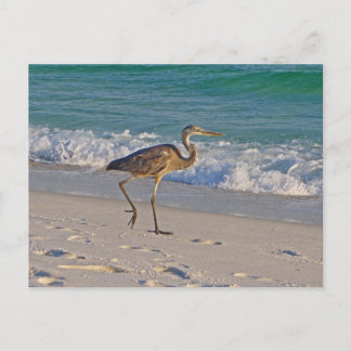 Stroll op de Golfeilanden National Seashore Briefkaart