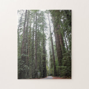 Stroll Through Redwood Legpuzzel