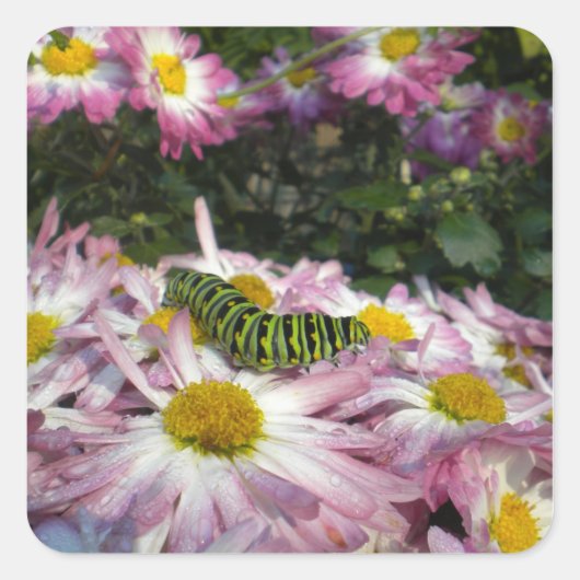 Strolsticker voor de derde pijler vierkante sticker (Voorkant)