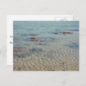 Stromatolites bij de Baai van de Haai Briefkaart (Voorkant / Achterkant)