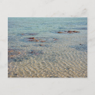 Stromatolites bij de Baai van de Haai Briefkaart
