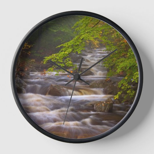 Stromen langs het Appalachian Trail (Voorkant)