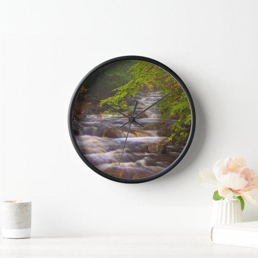 Stromen langs het Appalachian Trail (Huis)