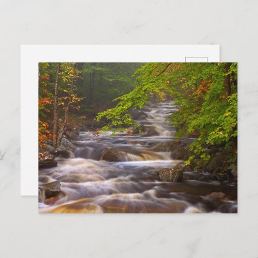 Stromen langs het Appalachian Trail Briefkaart (Voorkant / Achterkant)