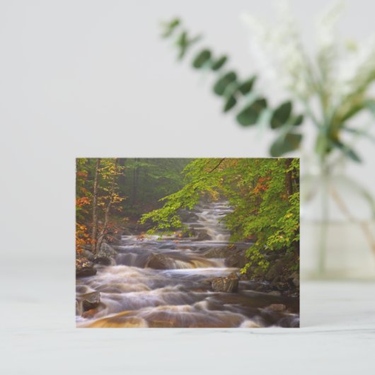 Stromen langs het Appalachian Trail Briefkaart (Staand voorkant)