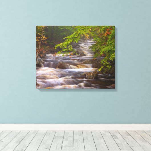 Stromen langs het Appalachian Trail Canvas Afdruk (Insitu (Houten vloer))