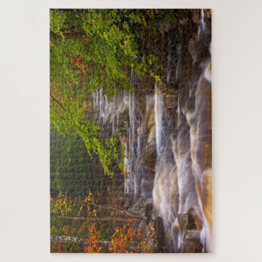 Stromen langs het Appalachian Trail Legpuzzel (Verticaal)