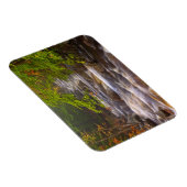 Stromen langs het Appalachian Trail Magneet (Rechterzijde)